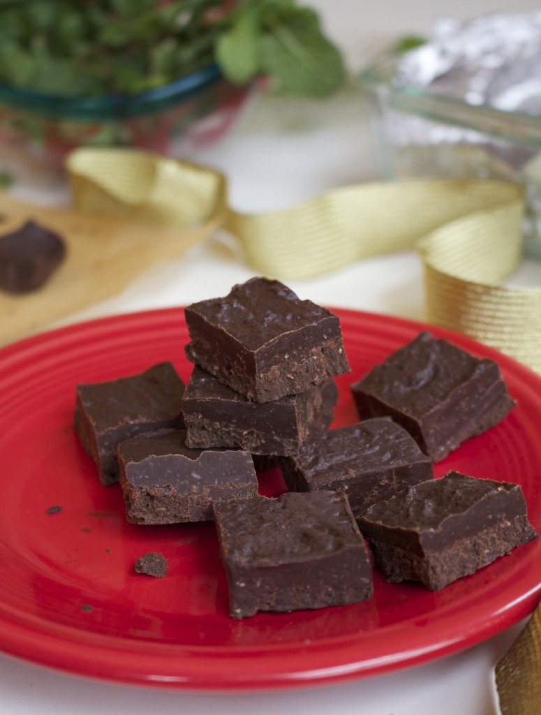 Chocolate Peppermint Fudge - Sparkle Kitchen